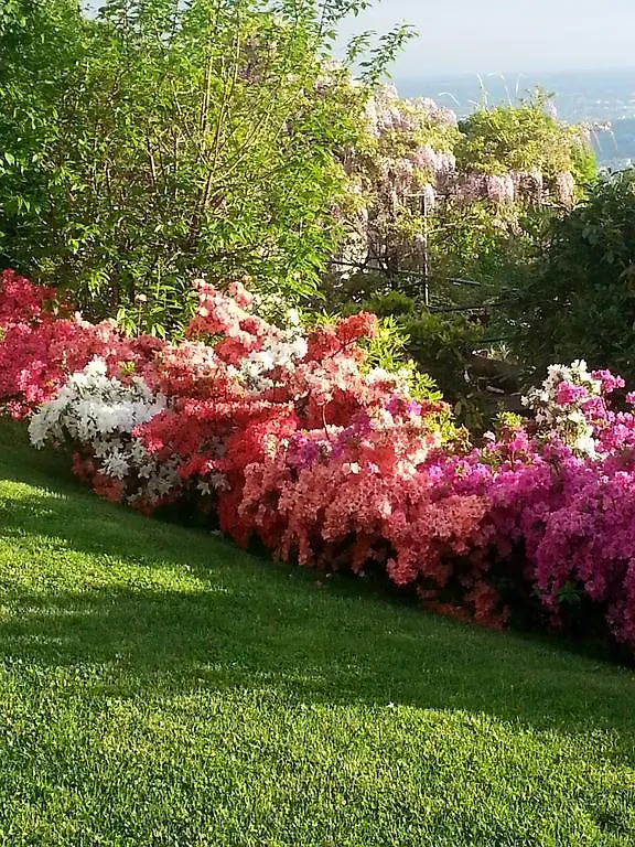 Tatil Evi Casa Vacanze Le Violette Villa Brunate İtalya