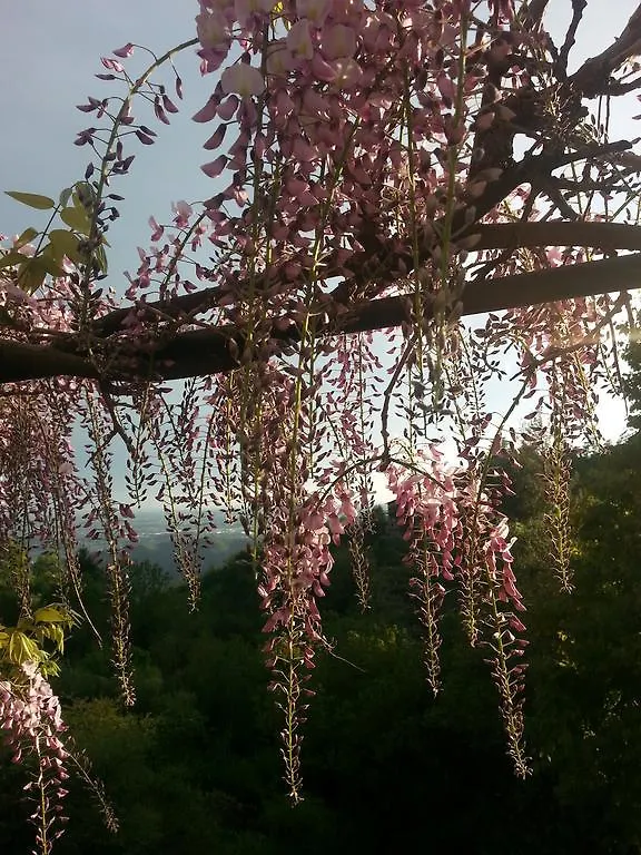 Casa Vacanze Le Violette Villa Brunate Tatil Evi